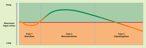 Grafiek over weerstand tegen stress