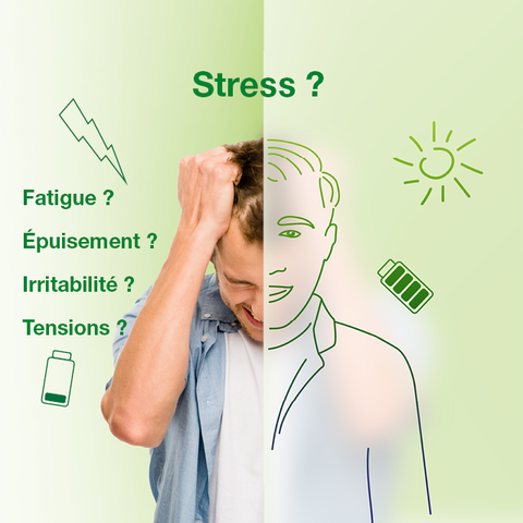 Stress ? Fatigue ? Épuisement ? Irritabilité ? Tensions ? Rodizen® !